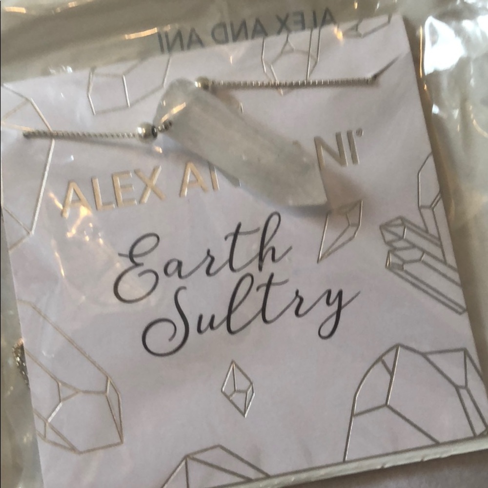 Alex and Ani silver necklace